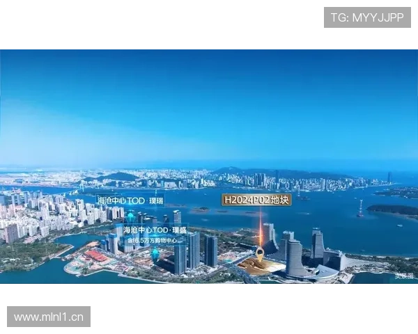 厦门企业家如何引领创新与转型助力城市经济发展新机遇