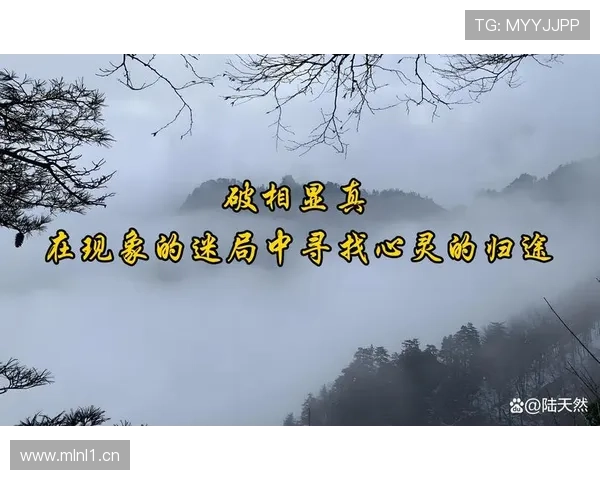 汇聚智慧之光洞见成功之道企业家格言启迪奋斗人生