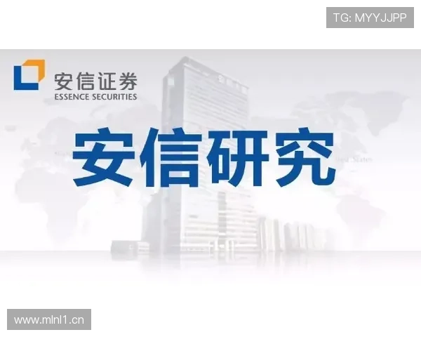 企业家离婚对公司经营与财务影响深度分析及应对策略探讨