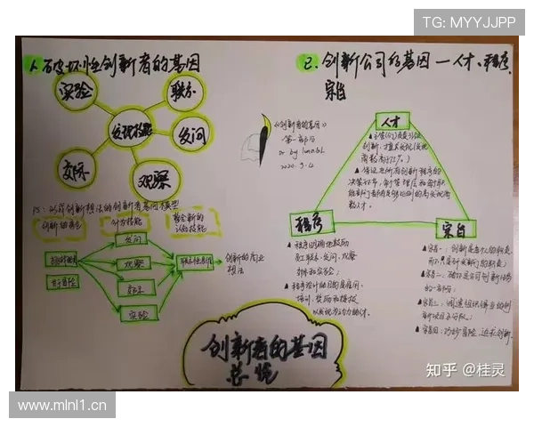 企业家成功的关键特点与素质分析：从创新思维到领导力的全面解读